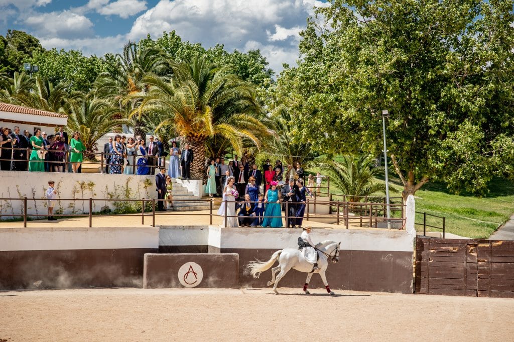 Pista arena Finca La Dehesilla. Espectáculo de caballos. Finca para bodas en Madrid. Finca La Dehesilla.